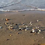Spend Your In Our Beautiful Flat-beahost Bibione