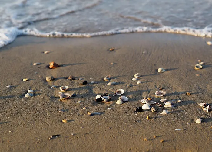 Spend Your In Our Beautiful Flat-beahost Bibione